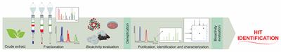 Solid-Supported Proteins in the Liquid Chromatography Domain to Probe Ligand-Target Interactions